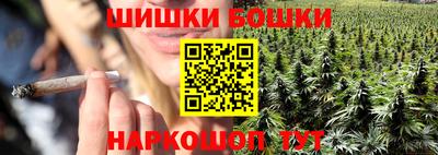 гашик Новозыбков
