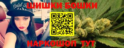 гашик Новозыбков