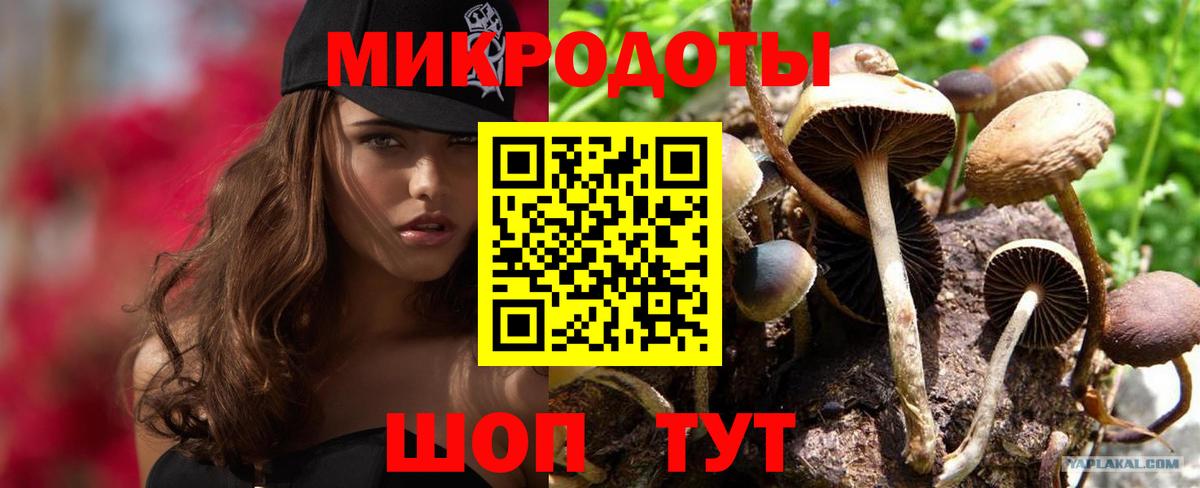 Псилоцибиновые грибы Psilocybine cubensis  Галлюциногенные грибы Magic Shrooms  закладки  Вход с VPN  Сочи 